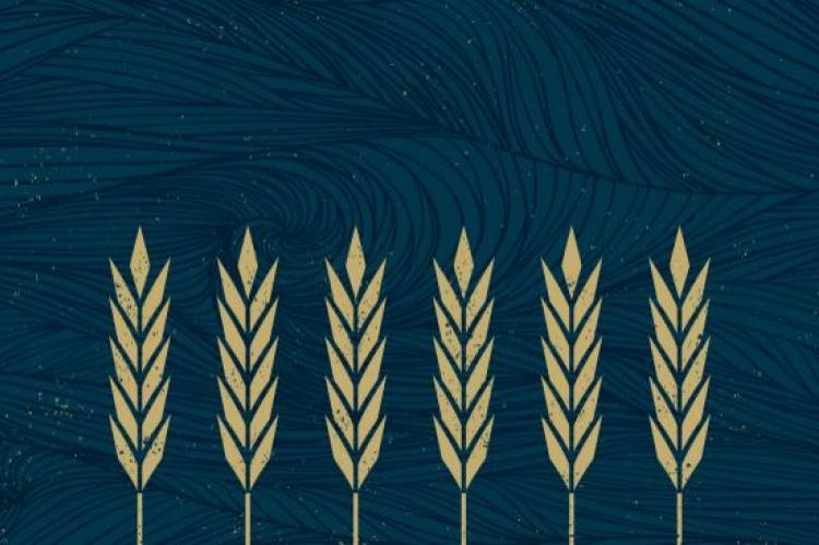 Disiplin Perbuatan Baik