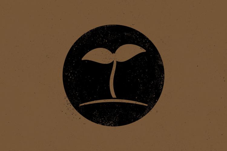 5 Mitos tentang Pemuridan