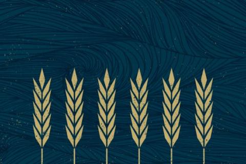 Disiplin Perbuatan Baik