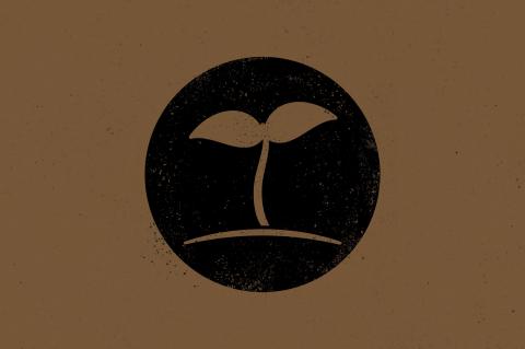 5 Mitos tentang Pemuridan