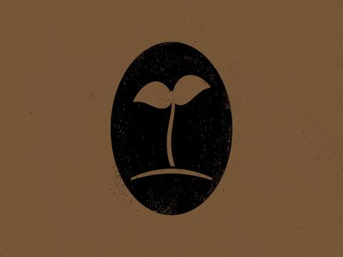 5 Mitos tentang Pemuridan